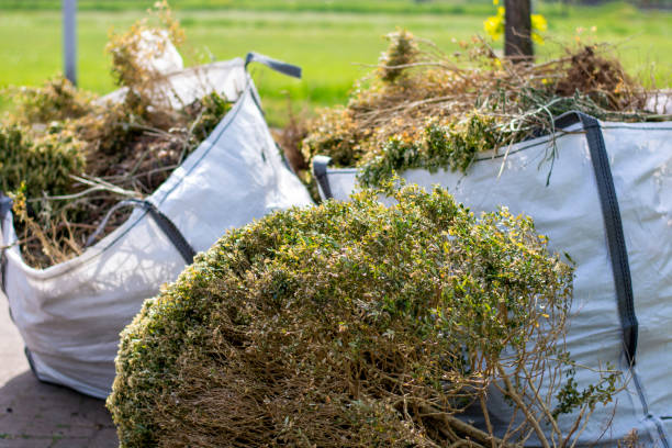 Best Junk Hauling Services  in Edmonds, WA